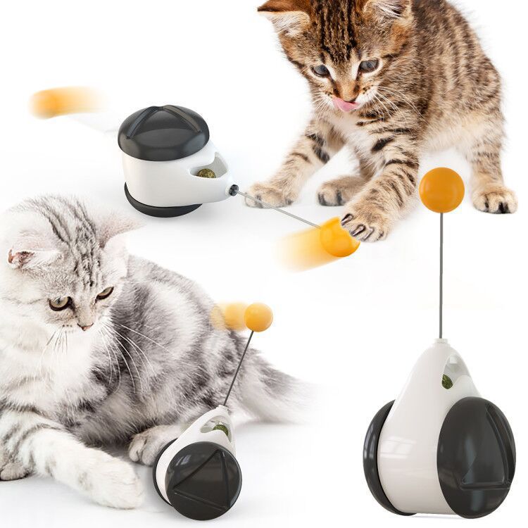 CATS