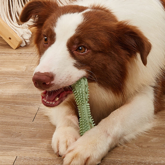 Chew Toys for Dog Teeth Cleaning ¨C Pet Dental Chew Toy