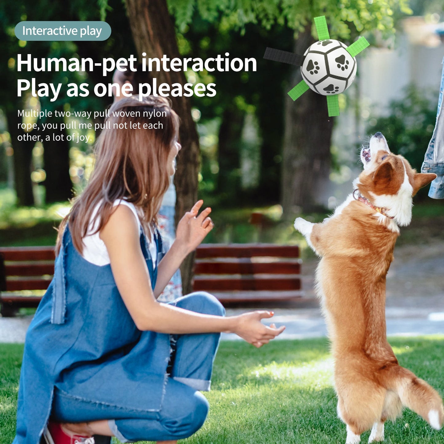Inflatable Interactive Dog Football for Outdoor Fetch & Training