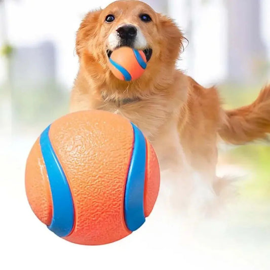 Durable Dog Fetch Ball Toy ¨C Tough Chew & Training Ball for All Dog Sizes